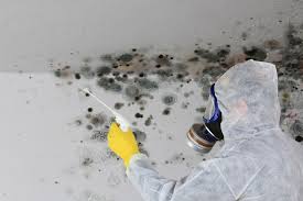 Best Mold Prevention Services in Snowmass Village, CO